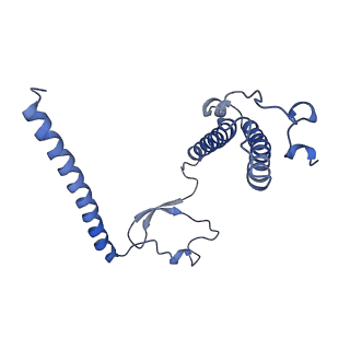 4434_6i9r_Y_v2-0
Large subunit of the human mitochondrial ribosome in complex with Virginiamycin M and Quinupristin