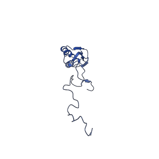 4434_6i9r_b_v1-4
Large subunit of the human mitochondrial ribosome in complex with Virginiamycin M and Quinupristin