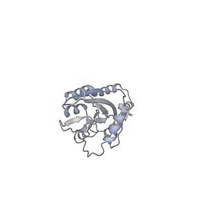 4434_6i9r_e_v1-4
Large subunit of the human mitochondrial ribosome in complex with Virginiamycin M and Quinupristin