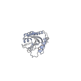 4434_6i9r_e_v2-0
Large subunit of the human mitochondrial ribosome in complex with Virginiamycin M and Quinupristin