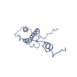 4434_6i9r_h_v1-4
Large subunit of the human mitochondrial ribosome in complex with Virginiamycin M and Quinupristin