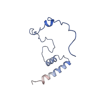 4434_6i9r_i_v1-4
Large subunit of the human mitochondrial ribosome in complex with Virginiamycin M and Quinupristin