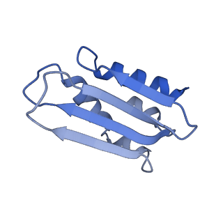 4434_6i9r_k_v1-4
Large subunit of the human mitochondrial ribosome in complex with Virginiamycin M and Quinupristin