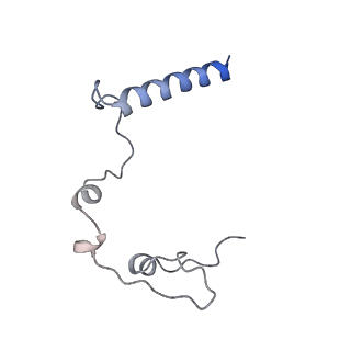 4434_6i9r_l_v1-4
Large subunit of the human mitochondrial ribosome in complex with Virginiamycin M and Quinupristin