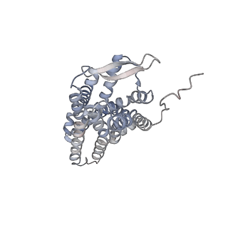 35292_8ia2_A_v1-2
Structure of C5a bound human C5aR1 in complex with Go (Composite map)