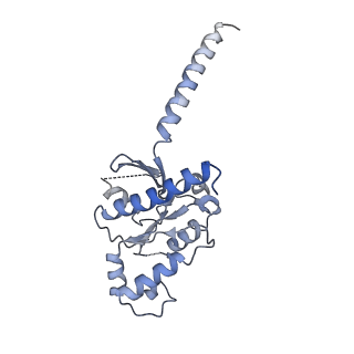 35292_8ia2_B_v1-2
Structure of C5a bound human C5aR1 in complex with Go (Composite map)