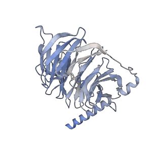 35292_8ia2_C_v1-2
Structure of C5a bound human C5aR1 in complex with Go (Composite map)