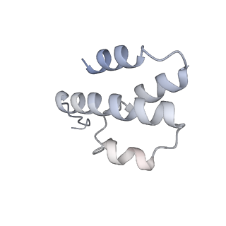 35292_8ia2_D_v1-2
Structure of C5a bound human C5aR1 in complex with Go (Composite map)