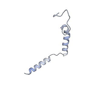 35292_8ia2_G_v1-2
Structure of C5a bound human C5aR1 in complex with Go (Composite map)