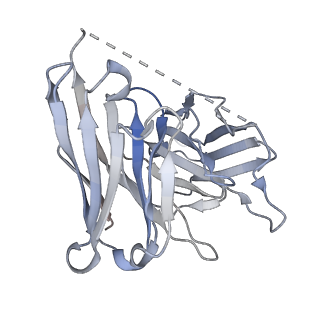 35292_8ia2_H_v1-2
Structure of C5a bound human C5aR1 in complex with Go (Composite map)