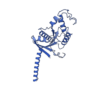35297_8ia7_A_v1-0
Structural insights into human brain gut peptide cholecystokinin receptors