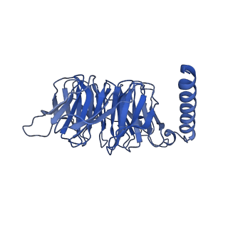 35297_8ia7_B_v1-0
Structural insights into human brain gut peptide cholecystokinin receptors