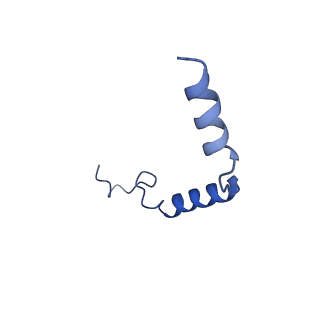 35297_8ia7_C_v1-0
Structural insights into human brain gut peptide cholecystokinin receptors
