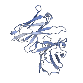 35297_8ia7_E_v1-0
Structural insights into human brain gut peptide cholecystokinin receptors