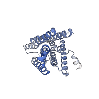 35297_8ia7_R_v1-0
Structural insights into human brain gut peptide cholecystokinin receptors
