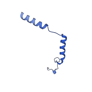 35298_8ia8_G_v1-0
Cryo-EM structure of C3aR-Gi-scFv16 bound with E7 peptide