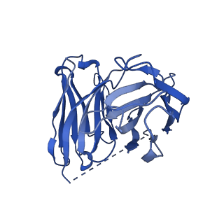 35298_8ia8_S_v1-0
Cryo-EM structure of C3aR-Gi-scFv16 bound with E7 peptide