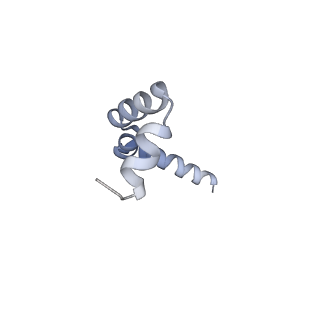 35301_8iah_0_v1-1
Structure of mammalian spectrin-actin junctional complex of membrane skeleton, State I, Global map