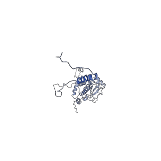 35301_8iah_1_v1-1
Structure of mammalian spectrin-actin junctional complex of membrane skeleton, State I, Global map