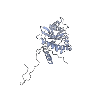 35301_8iah_4_v1-1
Structure of mammalian spectrin-actin junctional complex of membrane skeleton, State I, Global map