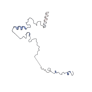 35301_8iah_6_v1-1
Structure of mammalian spectrin-actin junctional complex of membrane skeleton, State I, Global map