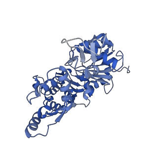35301_8iah_B_v1-1
Structure of mammalian spectrin-actin junctional complex of membrane skeleton, State I, Global map