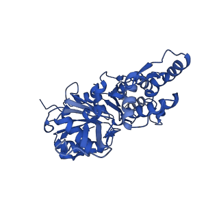 35301_8iah_C_v1-1
Structure of mammalian spectrin-actin junctional complex of membrane skeleton, State I, Global map