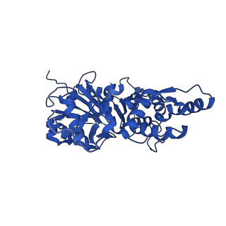 35301_8iah_E_v1-1
Structure of mammalian spectrin-actin junctional complex of membrane skeleton, State I, Global map