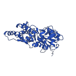 35301_8iah_F_v1-1
Structure of mammalian spectrin-actin junctional complex of membrane skeleton, State I, Global map
