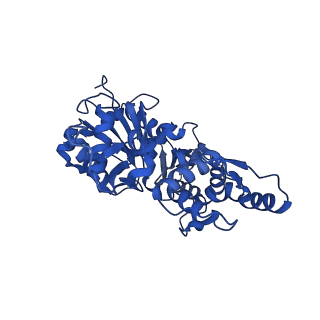 35301_8iah_G_v1-1
Structure of mammalian spectrin-actin junctional complex of membrane skeleton, State I, Global map
