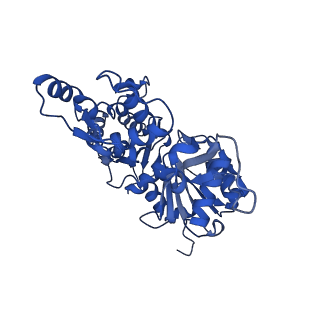 35301_8iah_H_v1-1
Structure of mammalian spectrin-actin junctional complex of membrane skeleton, State I, Global map
