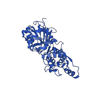 35301_8iah_I_v1-1
Structure of mammalian spectrin-actin junctional complex of membrane skeleton, State I, Global map