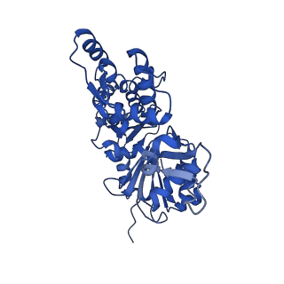 35301_8iah_J_v1-1
Structure of mammalian spectrin-actin junctional complex of membrane skeleton, State I, Global map