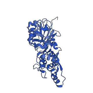 35301_8iah_K_v1-1
Structure of mammalian spectrin-actin junctional complex of membrane skeleton, State I, Global map