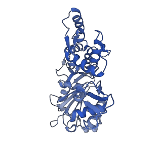35301_8iah_L_v1-1
Structure of mammalian spectrin-actin junctional complex of membrane skeleton, State I, Global map