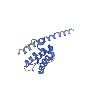 35301_8iah_M_v1-1
Structure of mammalian spectrin-actin junctional complex of membrane skeleton, State I, Global map