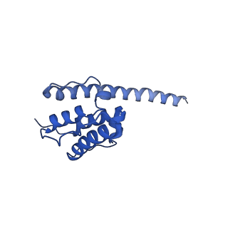 35301_8iah_O_v1-1
Structure of mammalian spectrin-actin junctional complex of membrane skeleton, State I, Global map