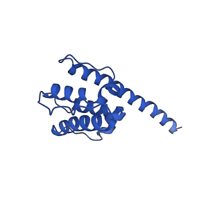 35301_8iah_Q_v1-1
Structure of mammalian spectrin-actin junctional complex of membrane skeleton, State I, Global map