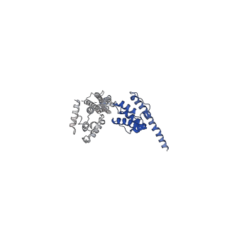 35301_8iah_S_v1-1
Structure of mammalian spectrin-actin junctional complex of membrane skeleton, State I, Global map