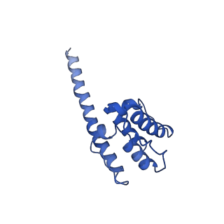 35301_8iah_T_v1-1
Structure of mammalian spectrin-actin junctional complex of membrane skeleton, State I, Global map