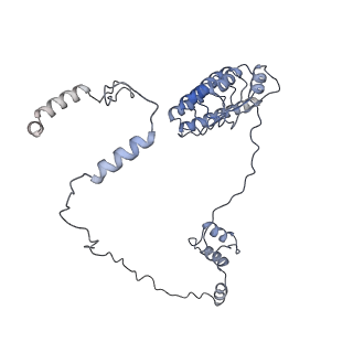 35301_8iah_Y_v1-1
Structure of mammalian spectrin-actin junctional complex of membrane skeleton, State I, Global map