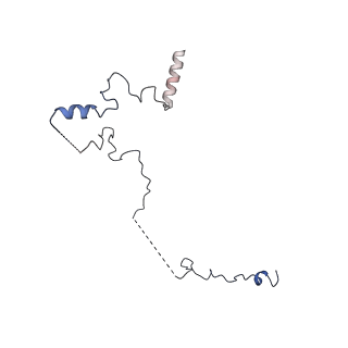 35302_8iai_6_v1-1
Structure of mammalian spectrin-actin junctional complex of membrane skeleton, State II, Global map