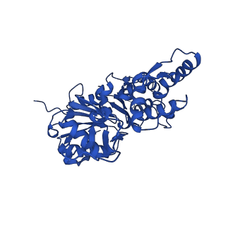 35302_8iai_C_v1-1
Structure of mammalian spectrin-actin junctional complex of membrane skeleton, State II, Global map