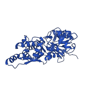 35302_8iai_D_v1-1
Structure of mammalian spectrin-actin junctional complex of membrane skeleton, State II, Global map