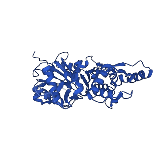 35302_8iai_E_v1-1
Structure of mammalian spectrin-actin junctional complex of membrane skeleton, State II, Global map