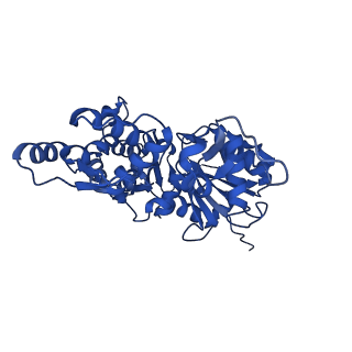 35302_8iai_F_v1-1
Structure of mammalian spectrin-actin junctional complex of membrane skeleton, State II, Global map
