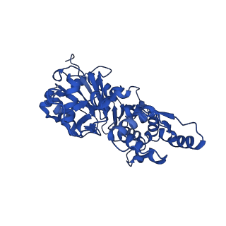 35302_8iai_G_v1-1
Structure of mammalian spectrin-actin junctional complex of membrane skeleton, State II, Global map