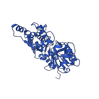 35302_8iai_H_v1-1
Structure of mammalian spectrin-actin junctional complex of membrane skeleton, State II, Global map