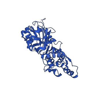 35302_8iai_I_v1-1
Structure of mammalian spectrin-actin junctional complex of membrane skeleton, State II, Global map