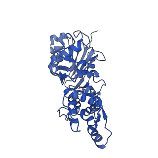35302_8iai_K_v1-1
Structure of mammalian spectrin-actin junctional complex of membrane skeleton, State II, Global map
